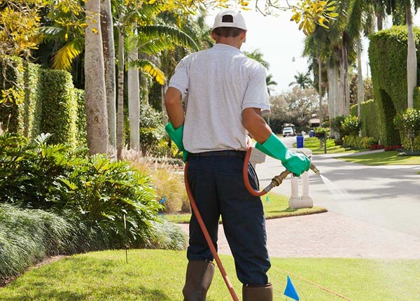 About Malone FL Pest Control